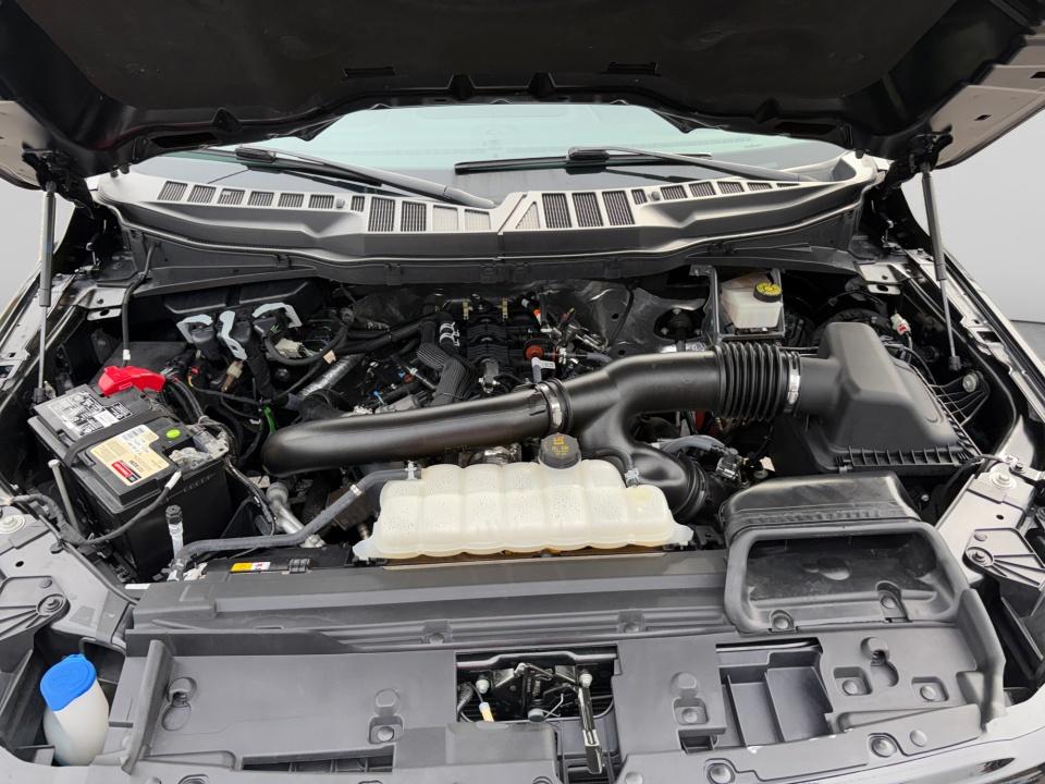 Used 2024 Ford F-150 Truck