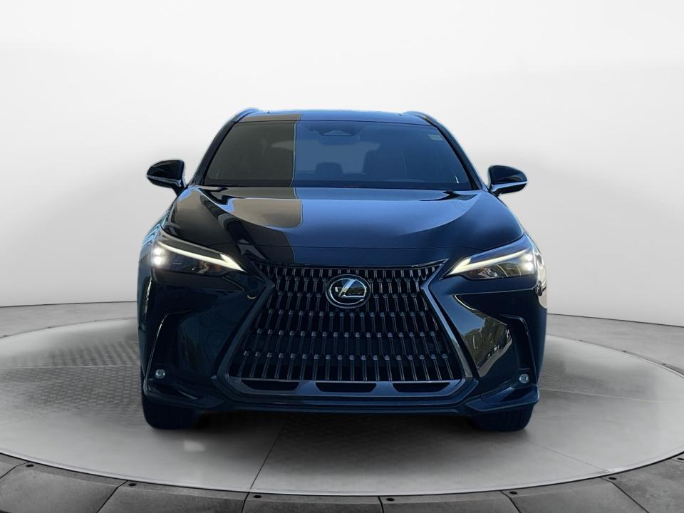 Used 2024 Lexus NX 250 SUV