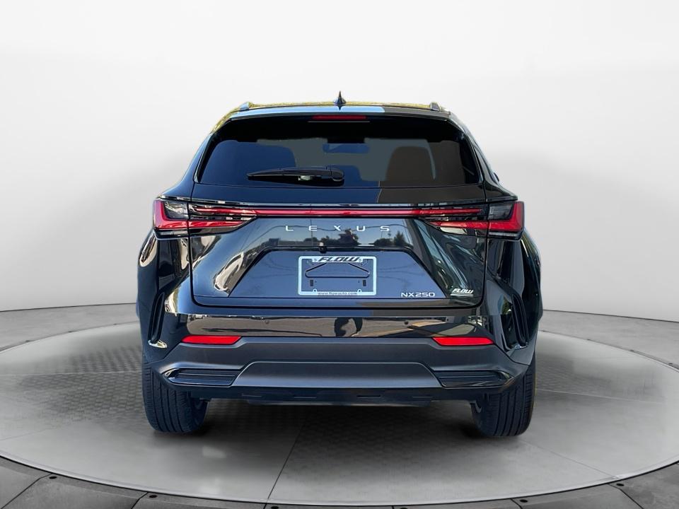Used 2024 Lexus NX 250 SUV