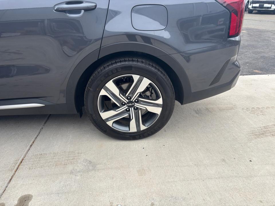 Used 2024 Kia Sorento Hybrid SUV
